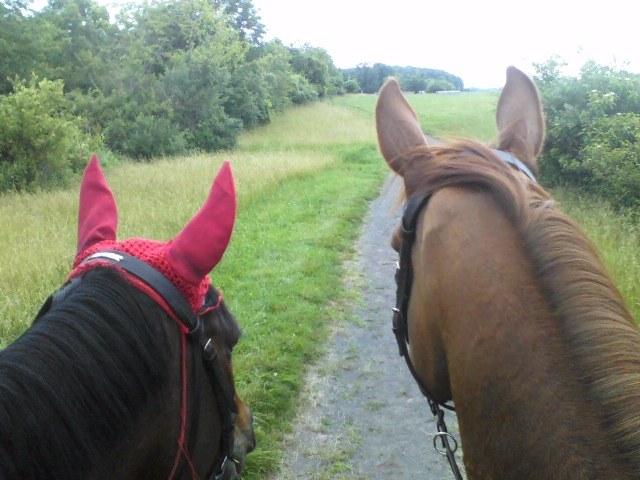 Jack and Viggo