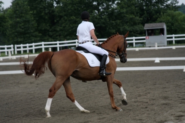horsey